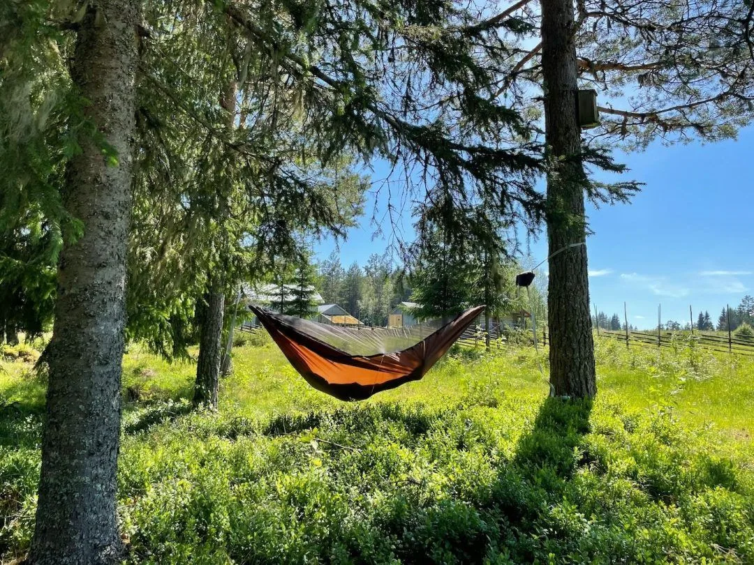 Dutchware Chameleon (utgått för nu) - bild 11