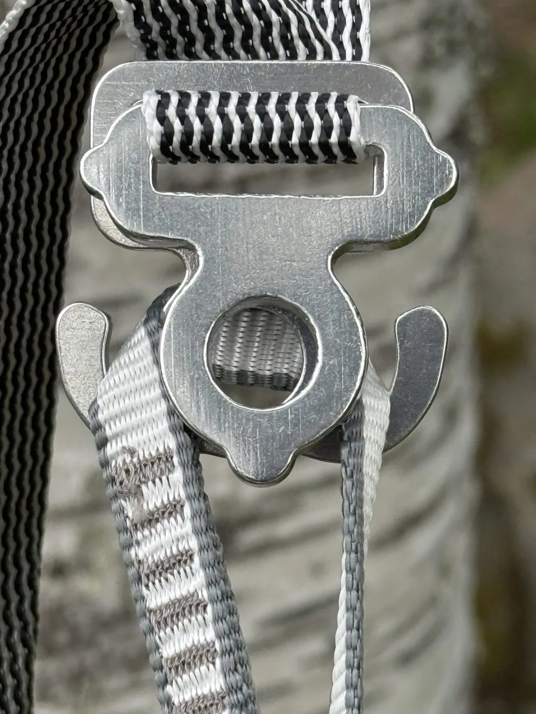 Jord Buckle – aluminiumspänne format som Momo Jord-loggan Jord Buckle i borstad aluminium, spännet format som Momo Jord-loggans J och O, mot björkstam