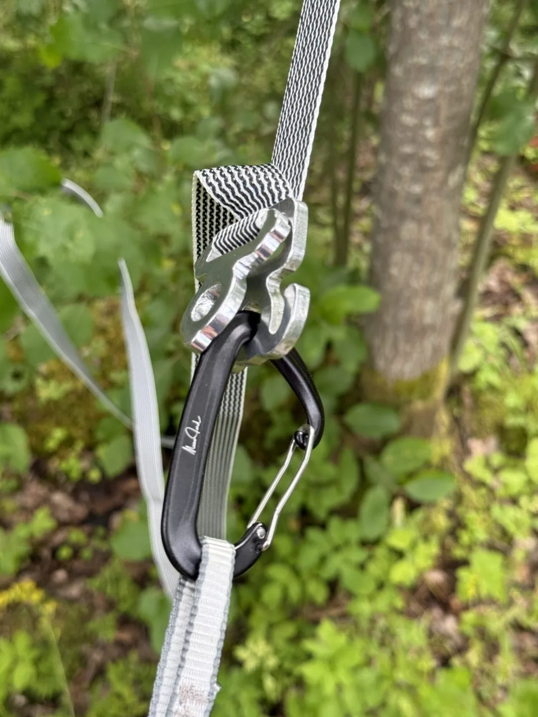 Jord Buckle kopplad till karbin på hängande hammockupphängning