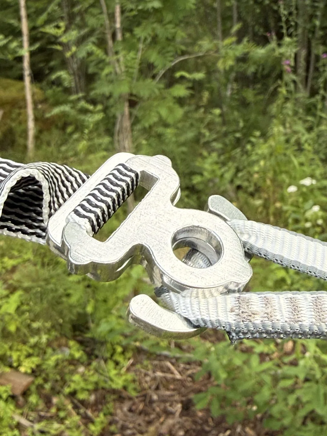 Jord Buckle aluminiumspänne i skogsmiljö