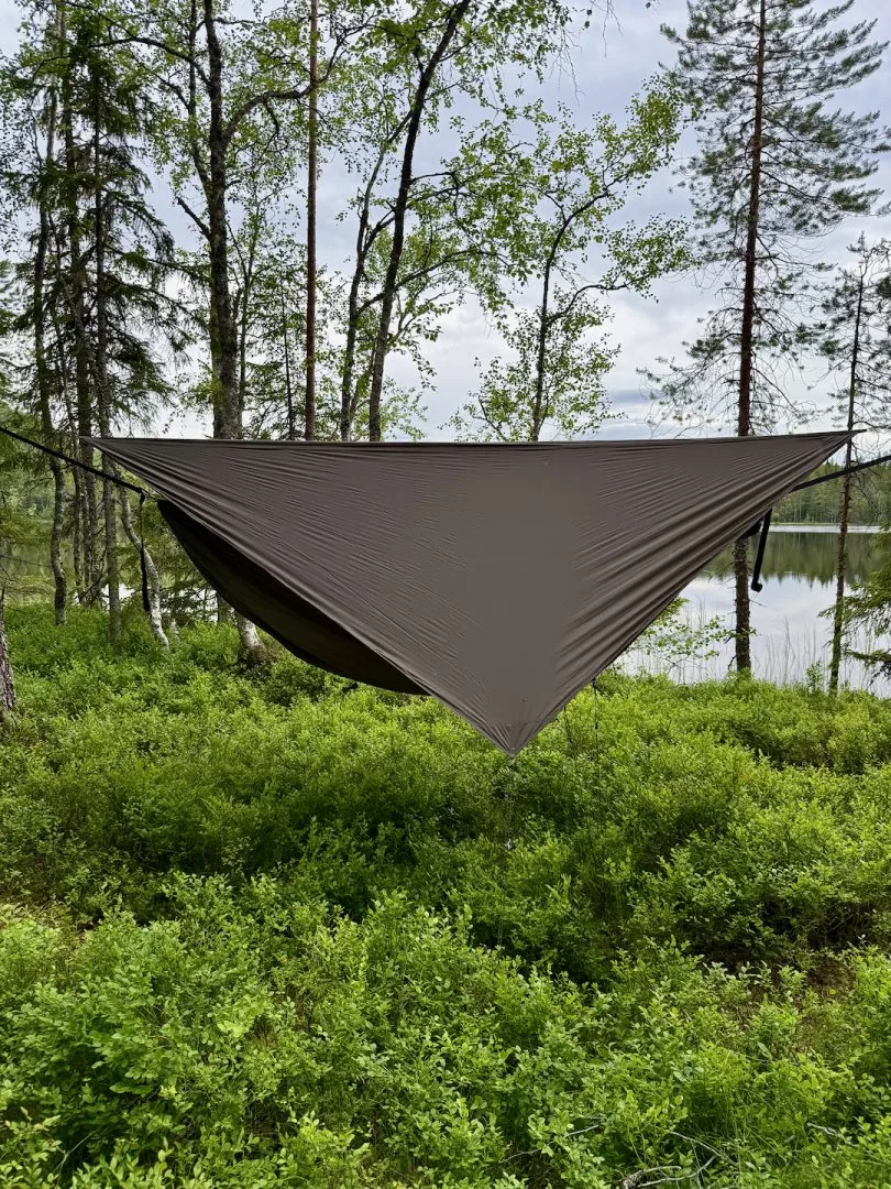 Tarp