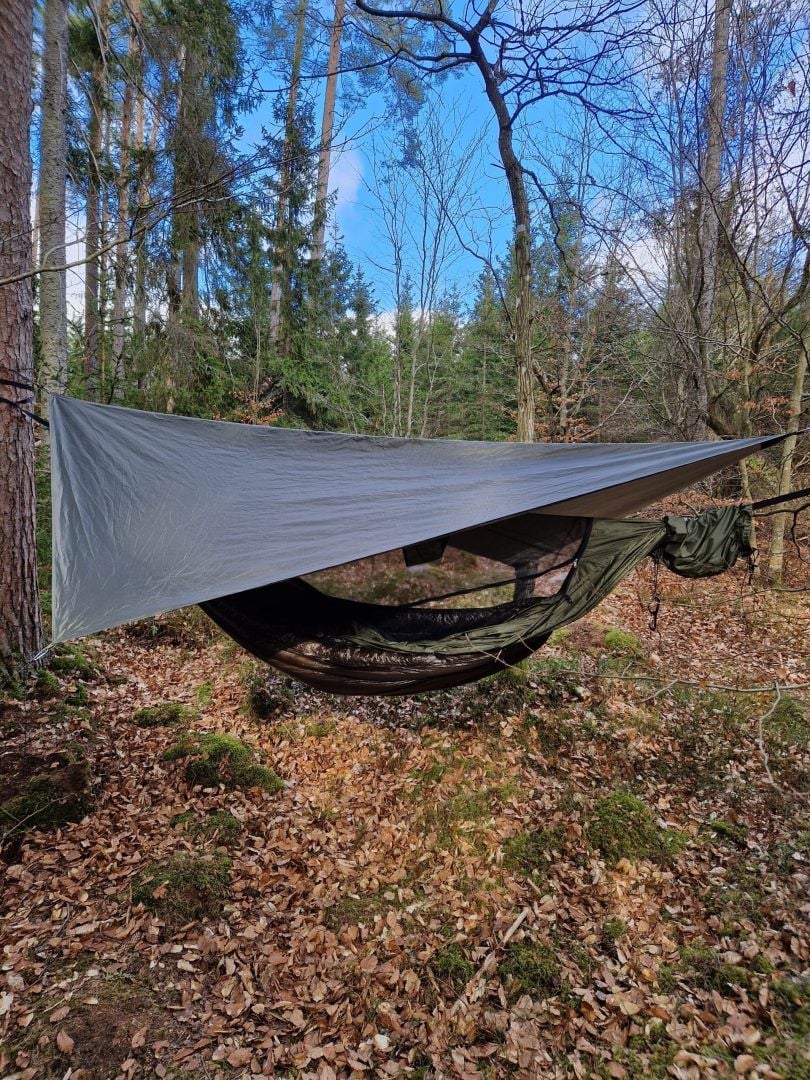 Bild #1 från Carolina C.