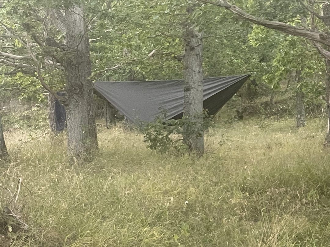 Bild #1 från Nisse Lundstedt