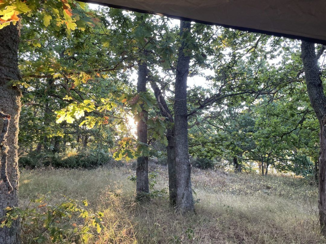 Bild #2 från Nisse Lundstedt