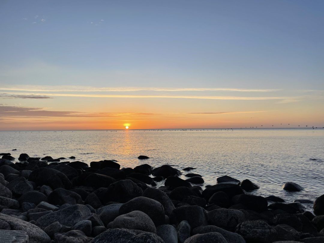 Bild #4 från Nisse Lundstedt