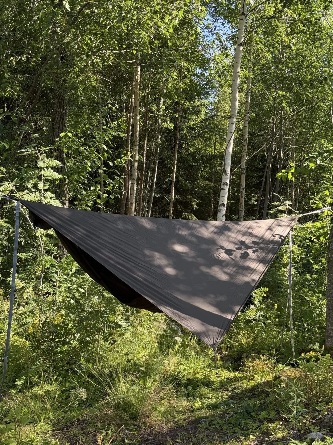 Momo Jord asym tarp för äldre hammock uppspänd i björkskog