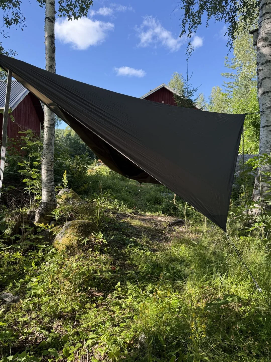 Momo Jord asymmetrisk tarp för äldre hammock uppspänd mellan björkar med blå himmel och röd stuga