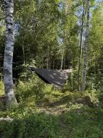 Asym tarp uppspänd i naturmiljö bland björkar