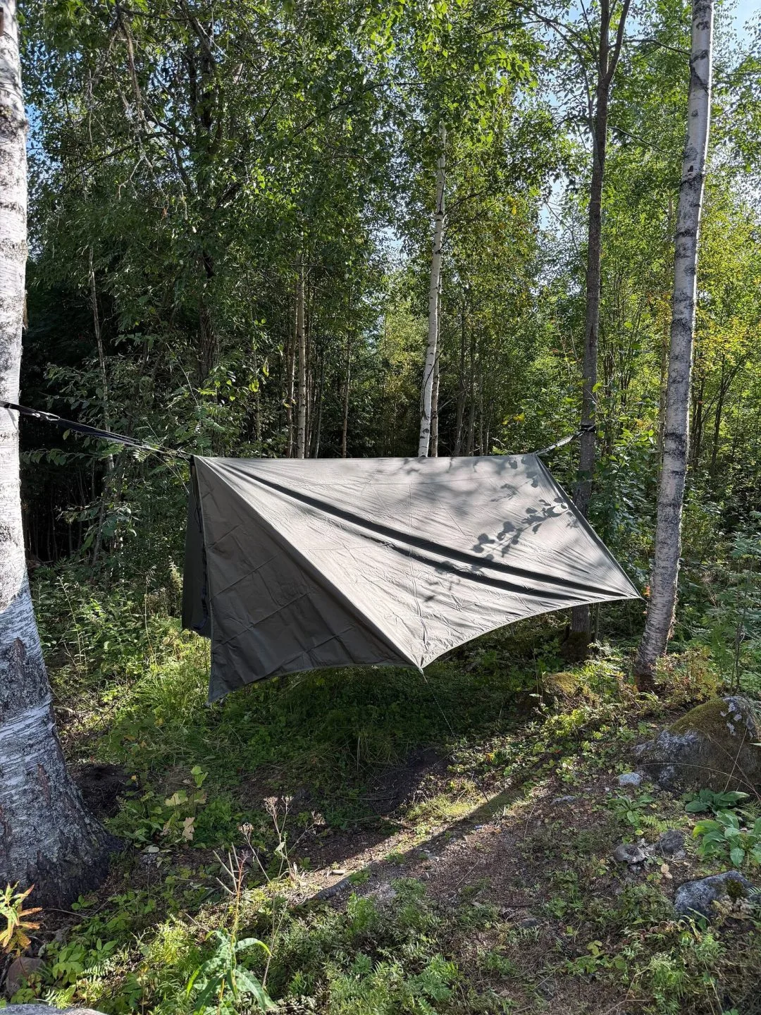 Vintertarp uppspänd med öppna gavlar och fri utsikt
