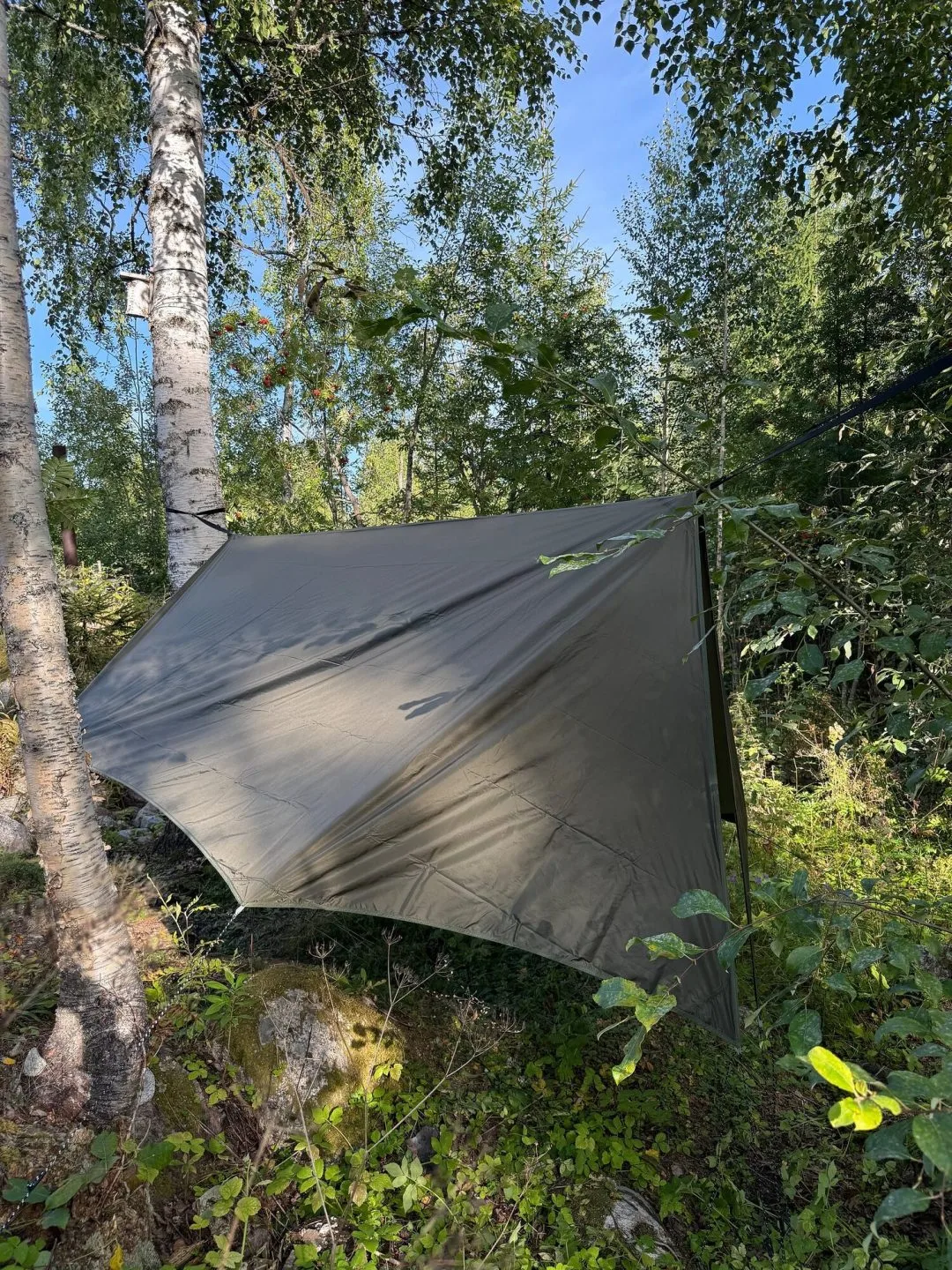 Vintertarp i motljus sedd snett från sidan